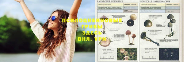 соль курить ск Бородино