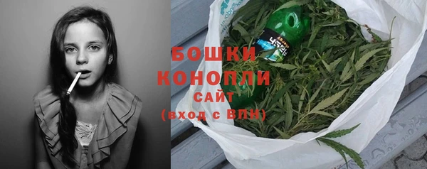 гидра Богданович