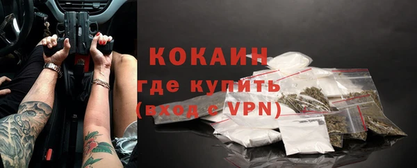 гидра Богданович