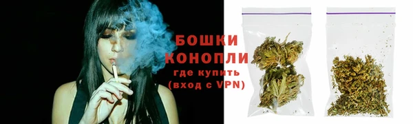 спиды Богородск
