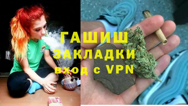 гидра Богданович