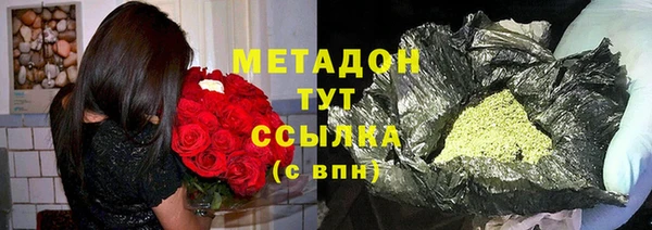 гидра Богданович