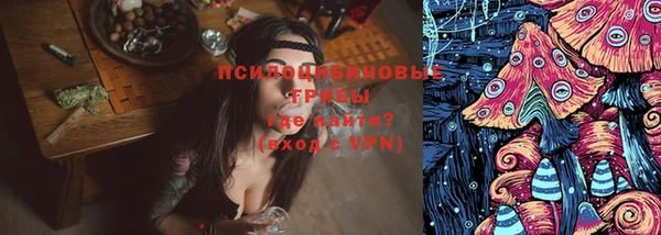 спиды Богородск