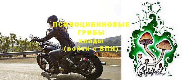 гидра Богданович